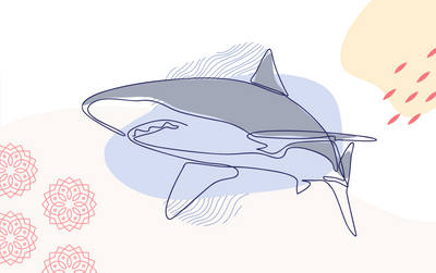 Shark Week at Rasa: How We're Celebrating International Women's Day