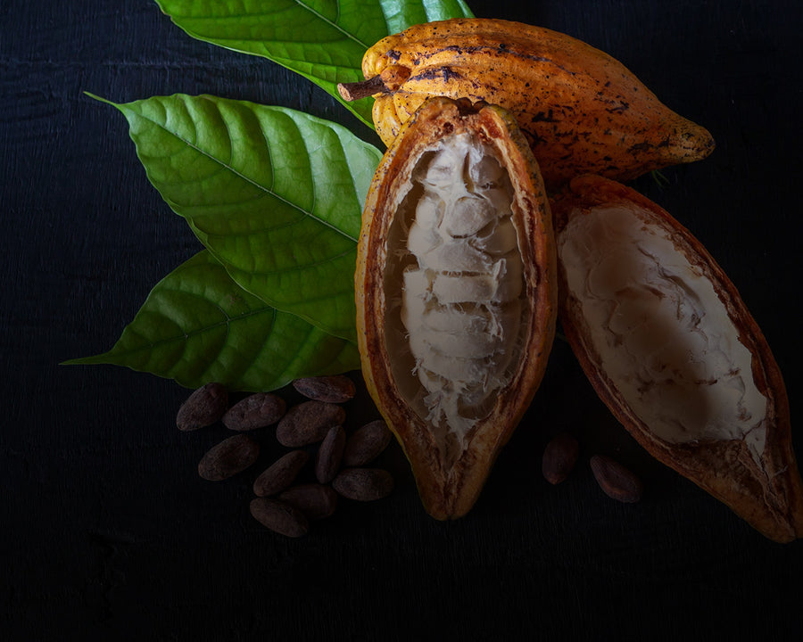 Fair Trade Cacao