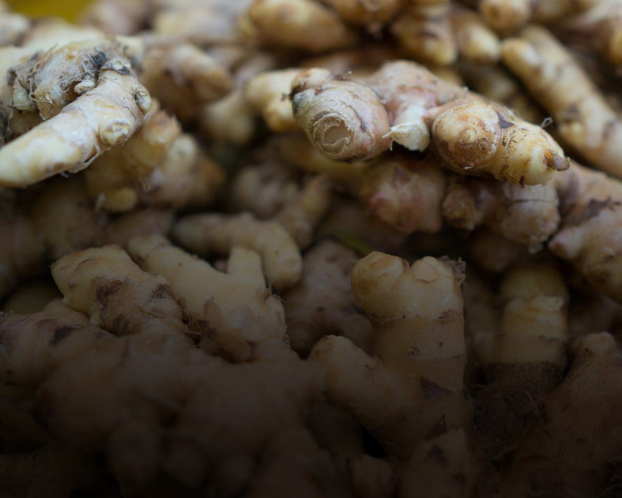 Ginger Root