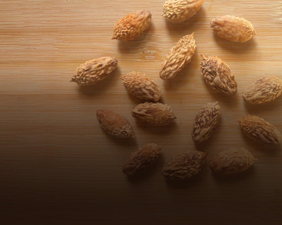 Jujube Seed