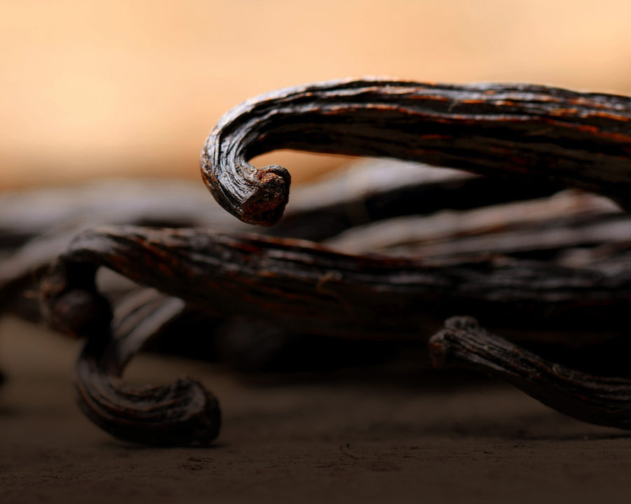 Vanilla Bean