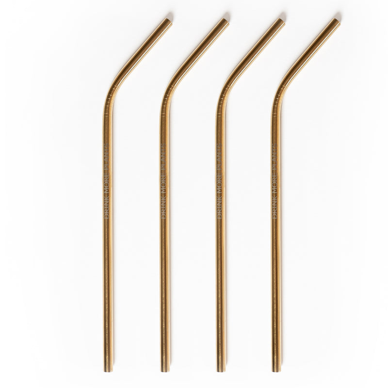 Rasa Stainless Steel Drinking Straw